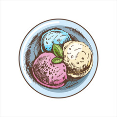 A hand-drawn colored sketch of an ice cream balls  in a plate. Top view. Vintage illustration. Element for the design of labels, packaging and postcards.