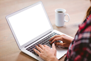 Young woman using laptop