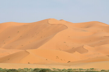 Fototapeta na wymiar Paisaje con dunas en el desierto de Erg Chebbi en Marruecos