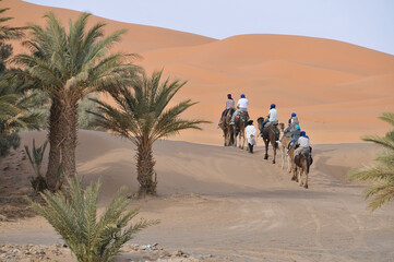 Caravana de camellos viajando hacia las dunas del desierto de Erg Chebbi en Marruecos