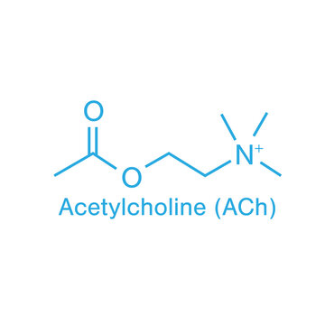 Digital image of acetylcholine 