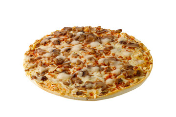 Vegetarian fresh baked crusty pizza with champignons, tomatoes, green herbs and mozzarella isolated