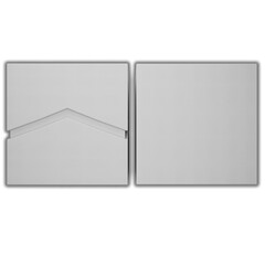 Package box illustration mockup template isolated on white