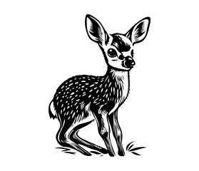 illustration of young deer, Baby deer icon Black and white