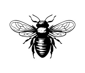 Honey Bee icon, honey bee silhouette