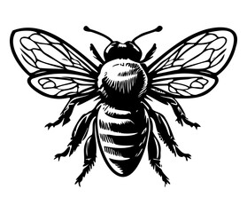Honey Bee icon, honey bee silhouette