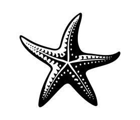 Sea star fish marine, illustration of a starfish