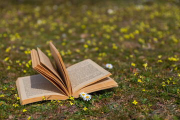 Open book with pages fluttering in the wind over a meadow with flowers