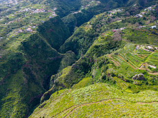 A volcanic gorge covered with dense green vegetation. La Galga, La Palma, Canary Islands, Spain.