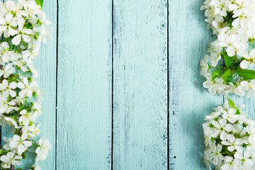 Fototapeta na wymiar cherry blossom on old blue painted wooden, frame background