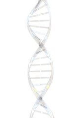Digitally generated image of translucent DNA