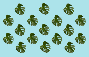 Repeating monstera leaf pattern. Tropical plant foliage abstract design on light blue background. 