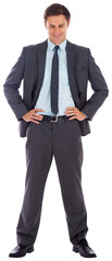 Smiling businessman with hands on hips