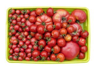 Freshly picked tomatoes in a green plastic container.