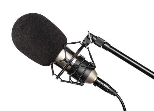 Large diaphragm studio condenser microphone on a stand. Object on a transparent background.