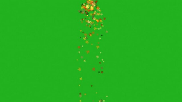 Falling of Autumn Leaves On green Screen 