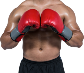 Midsection of boxer with gloves