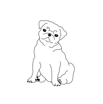 Vector isolated one single cute cartoon funny sitting pug puppy dog colorless black and white contour line easy drawing