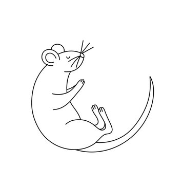 Vector isolated one single sleeping lying dead rat or mouse colorless black and white contour line easy drawing