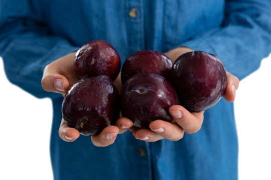Mid section of woman holding plums