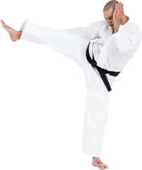 Fighter performing karate stance © vectorfusionart