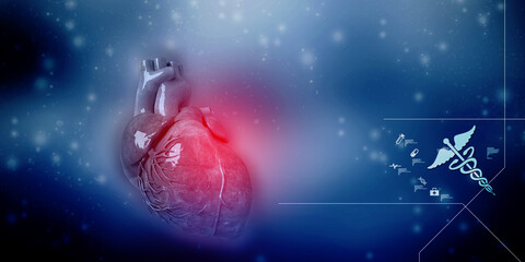 Obraz na płótnie Canvas 3d illustration Anatomy of Human Heart 