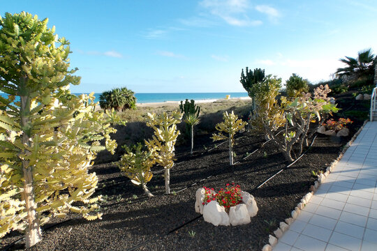 Costa Calma - Fuerteventura