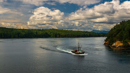 Fototapeta premium seascape along the way from Vancouver to Victoria, British Columbia, Canada
