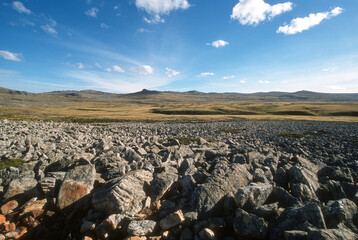 Quartzite, Phénomene geologique, Iles Falkland, Malouines, Iles Sub Antarctiques