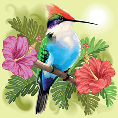 Hummingbird resting and Hibiscuses Watercolor Style Vector illustration 