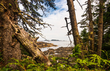 Fototapeta premium seascape inside Vancouver island during a summer seaso