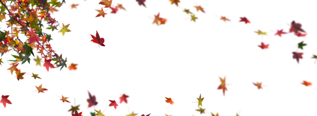 autumn colored tree with fall leaf in motion blur on transparent background, overlay template concept banner with copy space