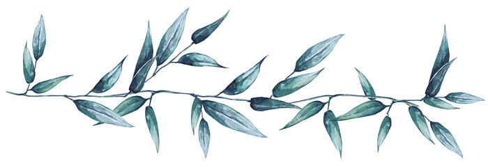 Bamboo leaves and leaves long vine watercolor leaves in long stem or branch swag for a border design.