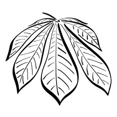 seven-leafed, large horse chestnut leaf, black pattern on a white background