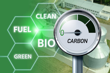 Carbon neutral bio fuel decarbonization concept	