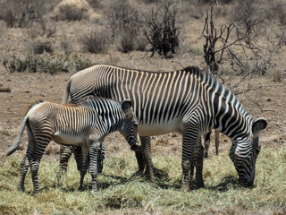 Africa, Kenia