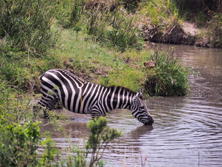 Fototapeta na wymiar Africa, Kenia