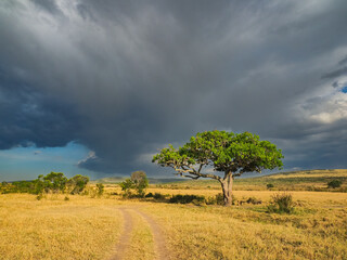 Africa