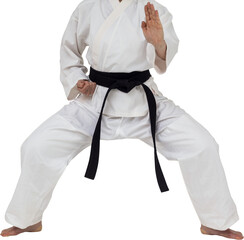 Fighter performing karate stance © vectorfusionart