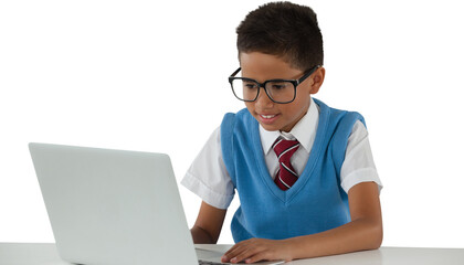 Schoolboy using laptop at table