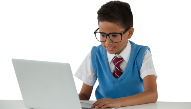 Schoolboy using laptop at table