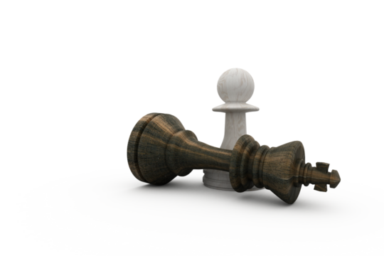 White pawn standing over fallen black king