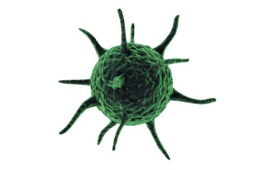 Green coronavirus over white background