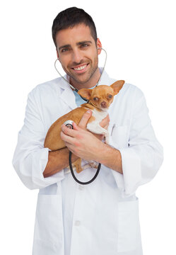 Happy vet checking dog with stethoscope