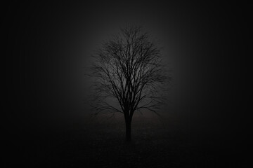 Fototapeta na wymiar Low key image of leafless tree illuminated from behind. Illustration