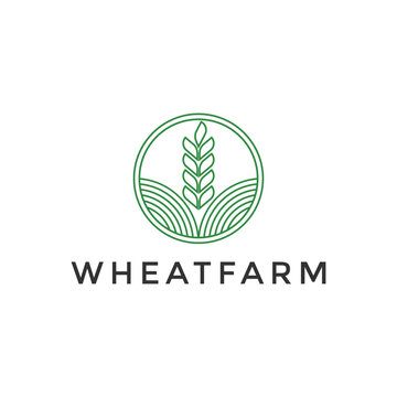 minimalist grain wheat farm logo design