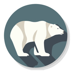 bear polar vector illustration 