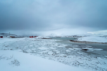 ice frozen sea snowy nature in tomso fjords