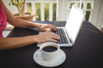 Woman using laptop in restaurant