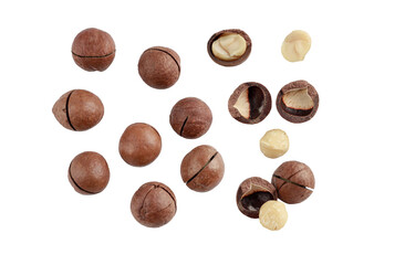 macadamia nuts isolated png